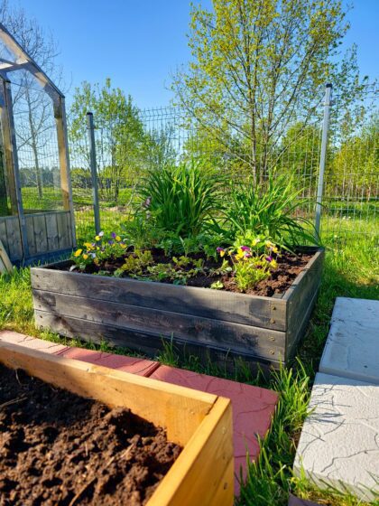 Medinė lysvė Bonus Orbis, 80 x 80 x 18 cm