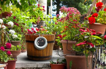 10 taškų automatinė augalų laistymo sistema