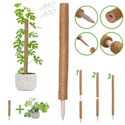 Atraminis kuolas su kokoso plaušu, 45 cm