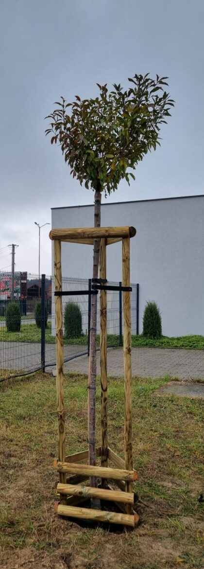 Atraminių kuolų rinkinys medžiams Ø5cm, 250 cm