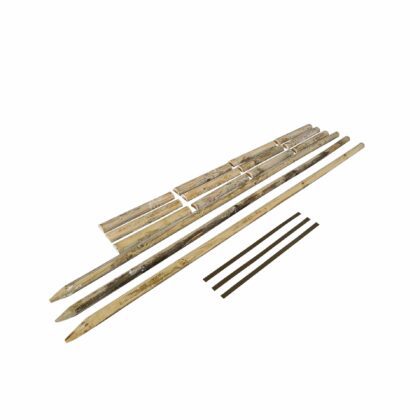 Atraminių kuolų rinkinys medžiams Ø5cm, 250 cm