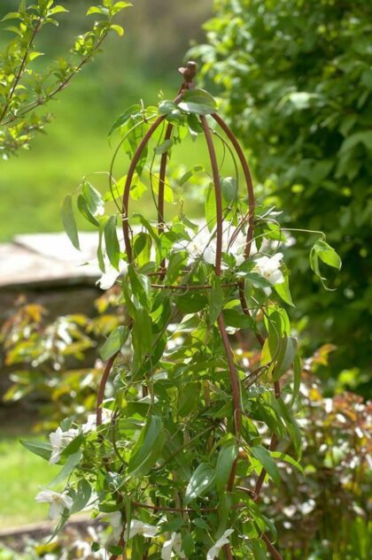 Augalų atrama "Piramidė", 48×48×169 cm