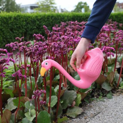 Laistytuvas "Flamingas" 1,46 l