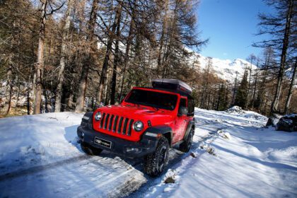 Automobilio stogo bagažinė, 480 l, dvipusė - Image 17