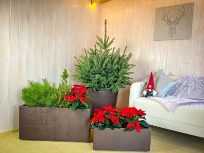 Vazonas “Granitas” su vandens rezervuaru ir ratukais, 99 cm - Image 7