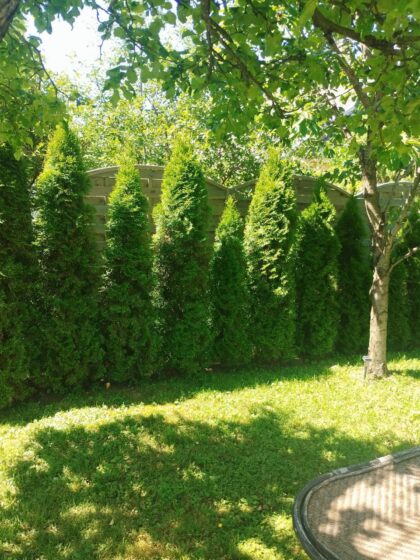 Medinės tvoros segmentas 44-2, 180 x 180 / 160 cm - Image 3