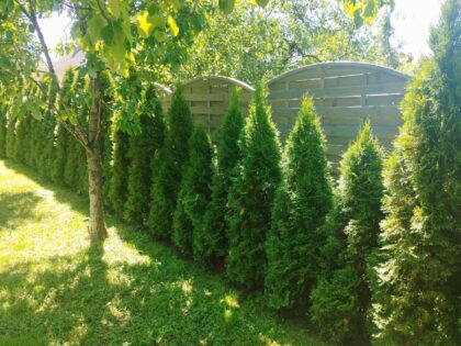 Medinės tvoros segmentas 44-2, 180 x 180 / 160 cm - Image 2