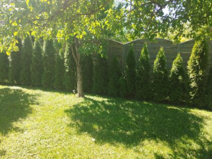 Medinės tvoros segmentas 44-2, 180 x 180 / 160 cm - Image 6