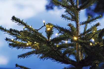 LED lempučių girlianda, 120 LED, 6.5m, šilta balta - Image 2