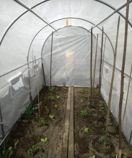 Armuota šiltnamio plėvelė, 3x6 m, balta - Image 3