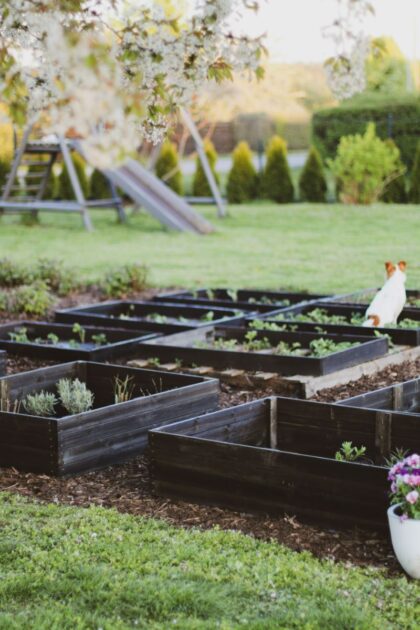 Medinė lysvė 115 x 85 x 26 cm, juoda