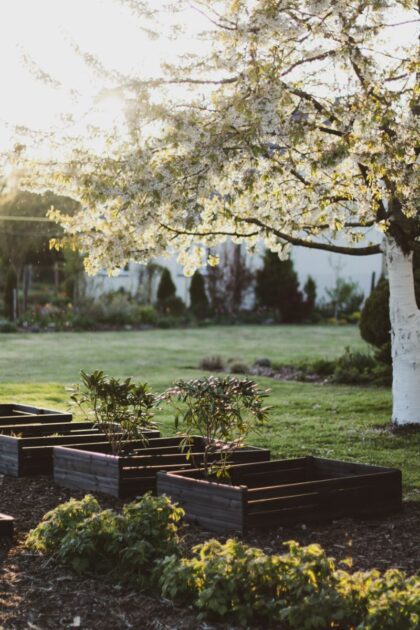 Medinė lysvė 115 x 85 x 26 cm, juoda