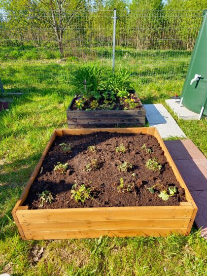 medinė lysvė 90 x 90 x 21 cm, ruda