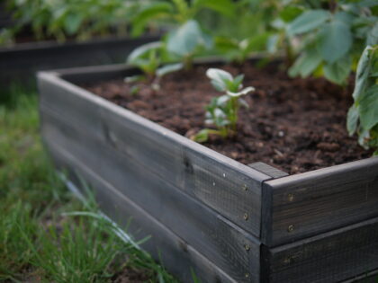 Medinė lysvė 80 x 80 x 27 cm, juoda - Image 15