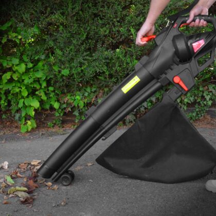 Lapų dulkių siurblys 3000 W