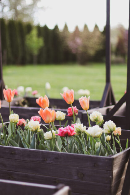 Medinė lysvė 80 x 80 x 27 cm, juoda - Image 3