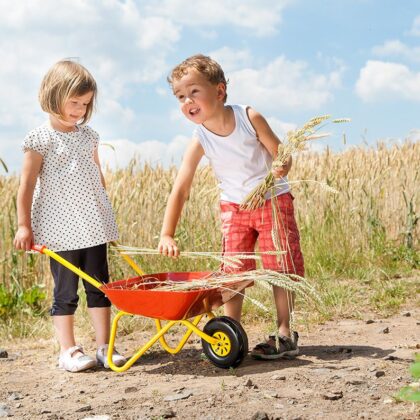 Vaikiškas metalinis karutis, raudonas