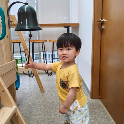 antracito spalvos varpelis