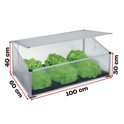 polikarbonato mini šiltnamis daigykla. 100 x 60 x 40/30 cm